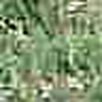 Profile Picture of Hazel Ann King (@hazelnut21) on Flickr