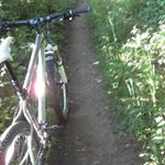 Profile Picture of lars Mortensen (@lars.bidstrup.mortensen) on Instagram