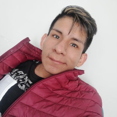 Profile Picture of David Moisés Julca Arroyo (@dmja21) on Twitter