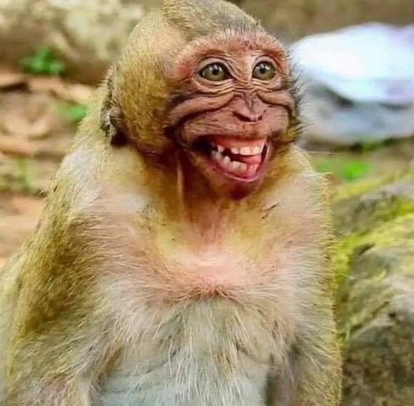 Profile Picture of Rithy Chroek (@chroekrithy) on Poshmark