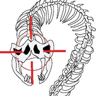 Profile Picture of Joshua Protheroe (@ProtheroeJoshua) on Twitter