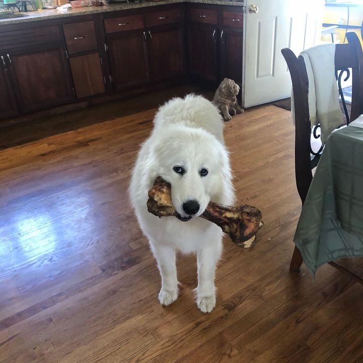 Matt - Tiktok Profile Picture of Matt (@@hubinsky) on Tiktok