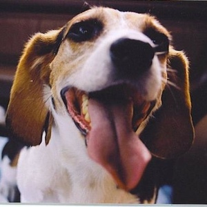 Profile Picture of Will Dunaway (@305070152) on Myspace