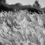 Profile Picture of Rachael Gates (@rachgates_) on Instagram