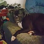 Profile Picture of Cathie Eckert (@cathieeckert) on Instagram