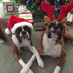 Profile Picture of Vance Lawrence (@vettevance) on Instagram