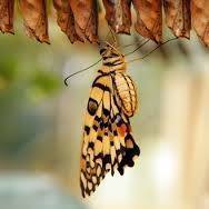 Profile Picture of Mack Stokes (@Mack-Stokes) on Facebook