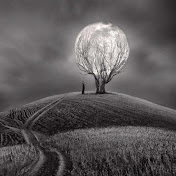 Profile Picture of Danielle Giddings (@daniellegiddings3197) on Youtube