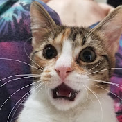 Profile Picture of Muzzy (@muzzy3478) on Youtube