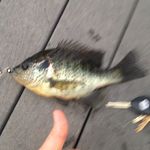 Profile Picture of craig severson (@johnny_mandude) on Instagram