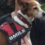 Profile Picture of billy.didszun (@billy.didszun) on Instagram