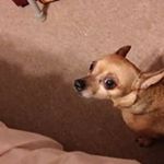 Profile Picture of Geraldine J Braddy (@geraldinejbraddy) on Instagram