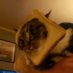 Profile Picture of thomas garder (@evensen_thomas) on Instagram