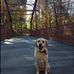 Profile Picture of Lori O'Connor (@lori.oconnor.3979) on Facebook