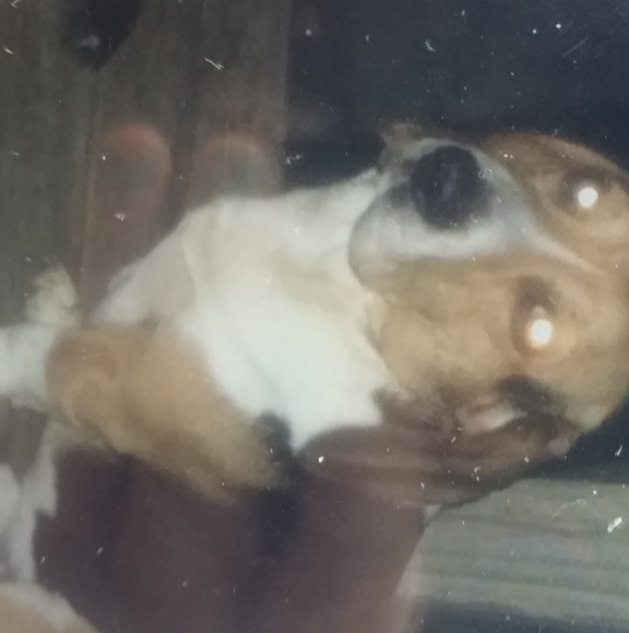 Profile Picture of James Cooper (@jamescooper442) on Poshmark