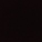 Profile Picture of Daniel Craig Hudson (@daniel_borristheturtletortoise) on Instagram