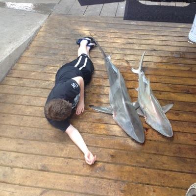 Profile Picture of Nate Mayes (@natemayes26) on Twitter