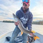 Profile Picture of Bryan Proctor (@bproctor93) on Instagram