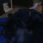 Profile Picture of Debra Smith (@smith.debra) on Instagram