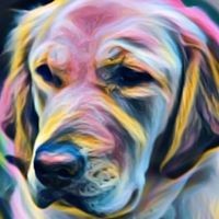 Profile Picture of Dr. Cathy Klein  (@dr-cathy-klein) on Quora