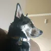 Profile Picture of Josh Jacobson (@@joshjacobson1) on Tiktok