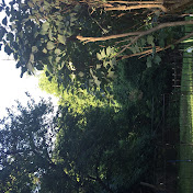 Profile Picture of George Rollison (@georgerollison3460) on Youtube