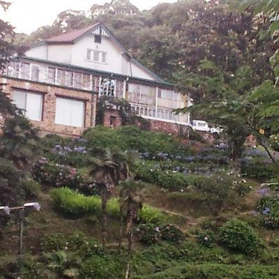 Profile Picture of Cariño Amor (@daniel23566) on Twitter