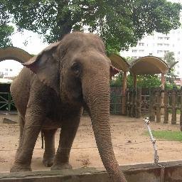 Profile Picture of Lam Bac Lieu (@KhoilamBac) on Twitter