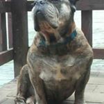 Fred Dinnetz - Instagram Profile Picture of Fred Dinnetz (@freddinnetz) on Instagram