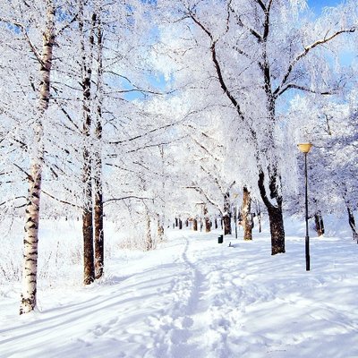 Profile Picture of Mandy Chau (@Mandyo318) on Twitter