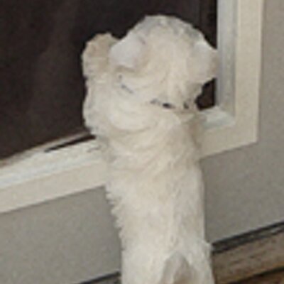 Profile Picture of Kim Heyde (@Ipsaart) on Twitter