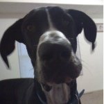 Profile Picture of Travis Catlin (@travicat83) on Instagram