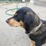 Profile Picture of Randy Behr (@randybehr2016) on Instagram