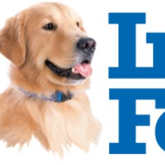 Profile Picture of Jim Pando (@jim_pando) on Twitter