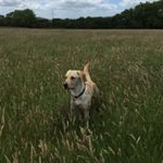 Profile Picture of Anne Maynard (@annemaynard65) on Instagram