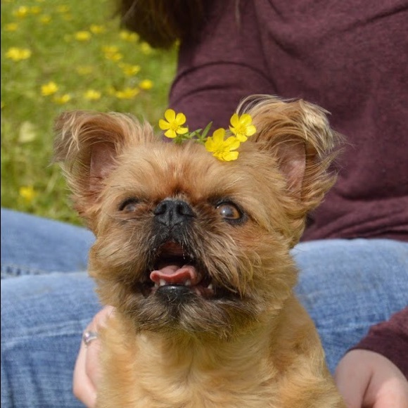 Profile Picture of Simone Guillory (@simarisse_) on Poshmark