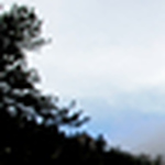 Profile Picture of Forrest Walker (@forrest walker) on Flickr