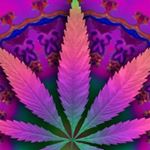 Profile Picture of Jose Crespin (@jose.crespin.921025) on Instagram