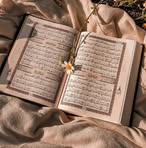 Profile Picture of Shaimaa G. Mohamed (@Shaimaa-G-Mohamed) on Facebook