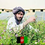 Profile Picture of Ahmed Ullah (@Ahmed-Ullah) on Facebook