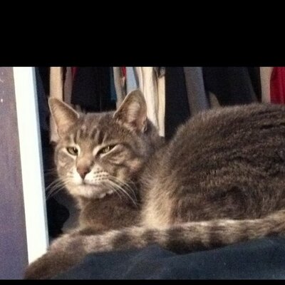 Profile Picture of Michelle Dupont (@michelledupont) on Twitter