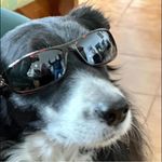 Profile Picture of Andrea (@trimandrea) on Instagram