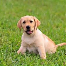 Profile Picture of John Jarrett (@johnjarrett777) on Twitter