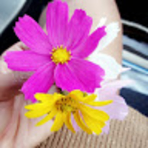 Profile Picture of Vanìì33 Bæbe3 (@vlabossiere30) on Poshmark