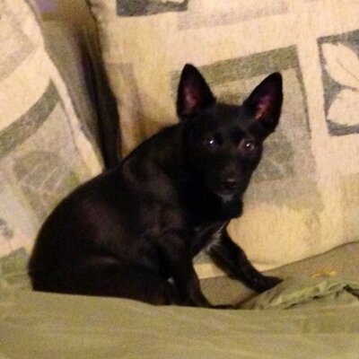 Profile Picture of Gary Wetherington (@Gwetheri64) on Twitter