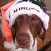 Profile Picture of Blake Graham (@bg052186) on Pinterest