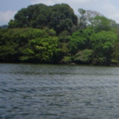 Profile Picture of Roberta Sparrow (@Gamacersau) on Twitter