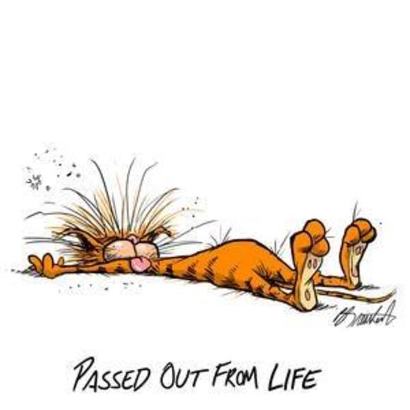 Bob Powell - Poshmark Profile Picture of Bob Powell (@pyratebob55) on Poshmark