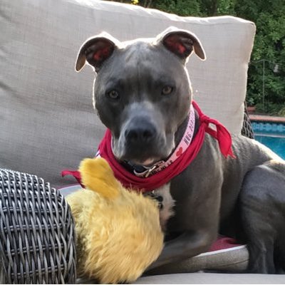 Profile Picture of Gary Coffland (@CofflandGary) on Twitter