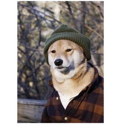 Profile Picture of Jon Frazier (@detroitjonf) on Twitter
